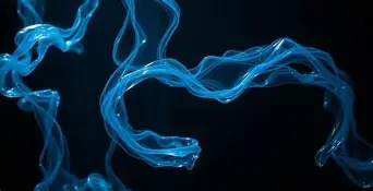 Difference Between Liquid Web and Scalahosting Vps Hosting Compared Explained